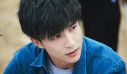 薛之谦与高磊鑫最新爆料,真相揭露背后的情感纠葛